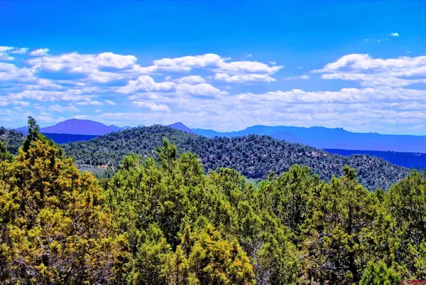 $450,000 | 21236 Uintah Road, Cedaredge, CO 81413