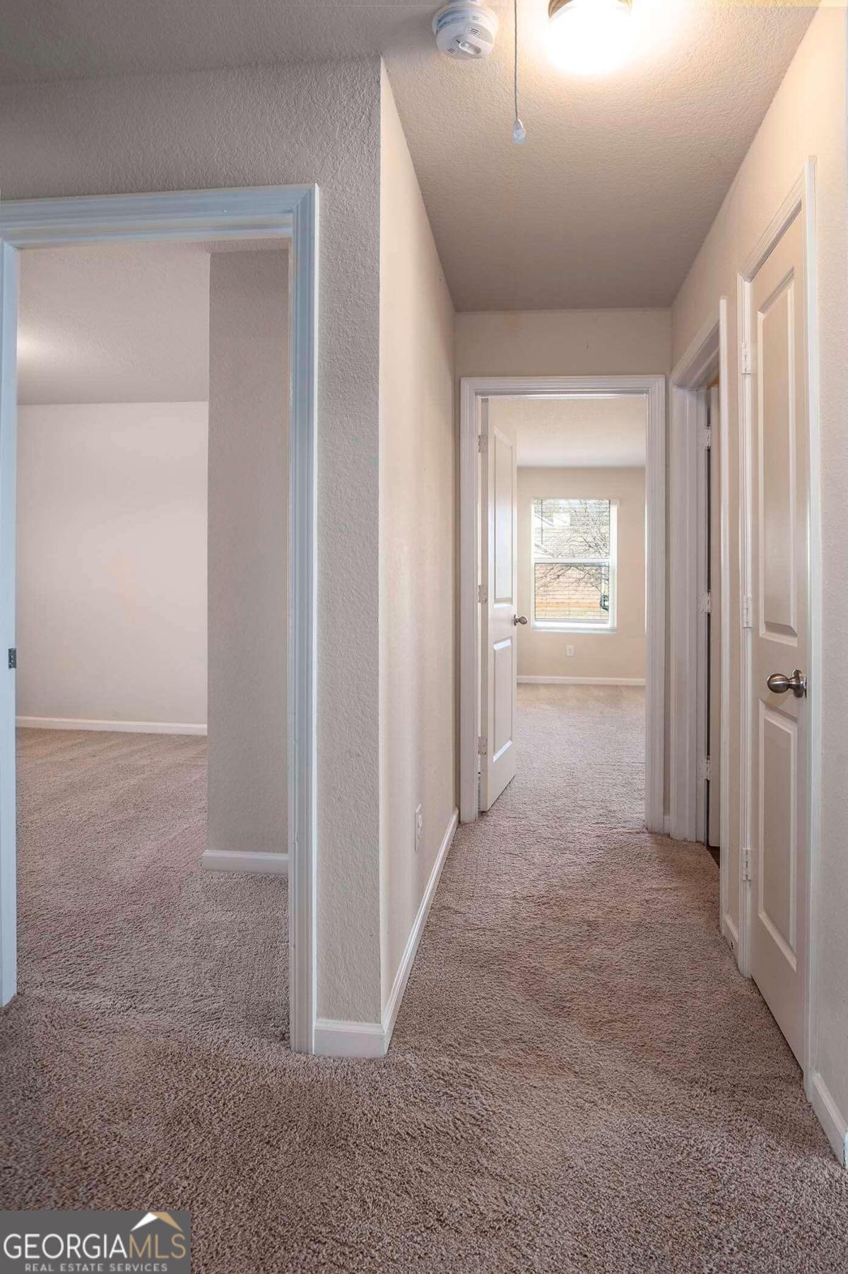 700 Fitzroy Drive Athens, GA 30606 - Photo 5 of 6