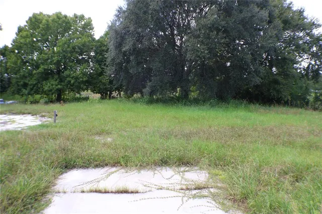 a house with a tree in front of it