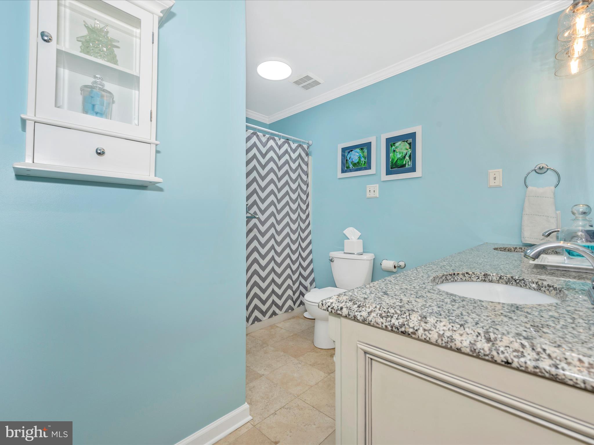4648 Old Swimming Pool Road Braddock Heights, MD 21714 - Photo 36 of 68 Bathroom