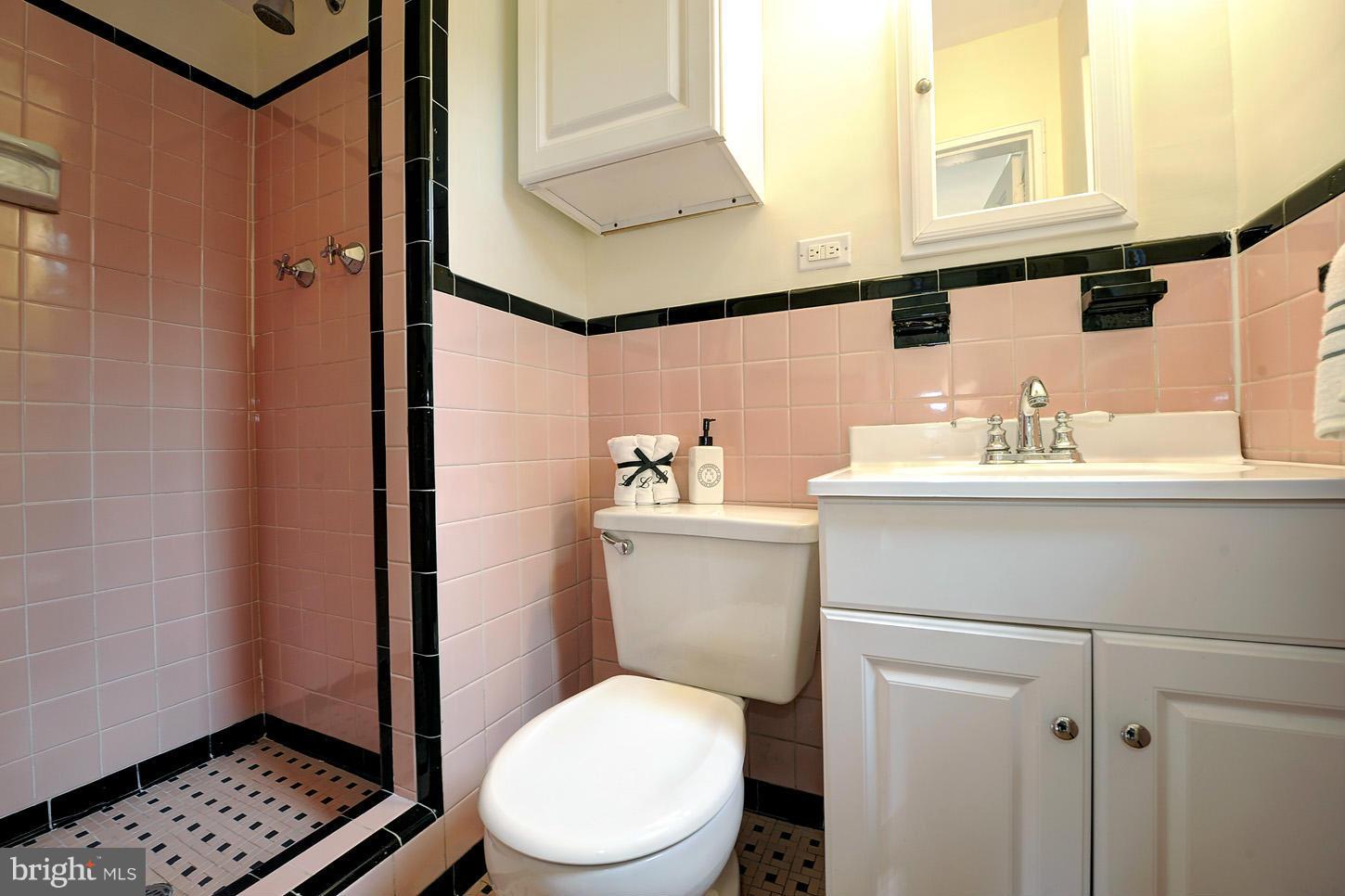 102 Devon Court Silver Spring, MD 20910 - Photo 19 of 29 Bath (Master)