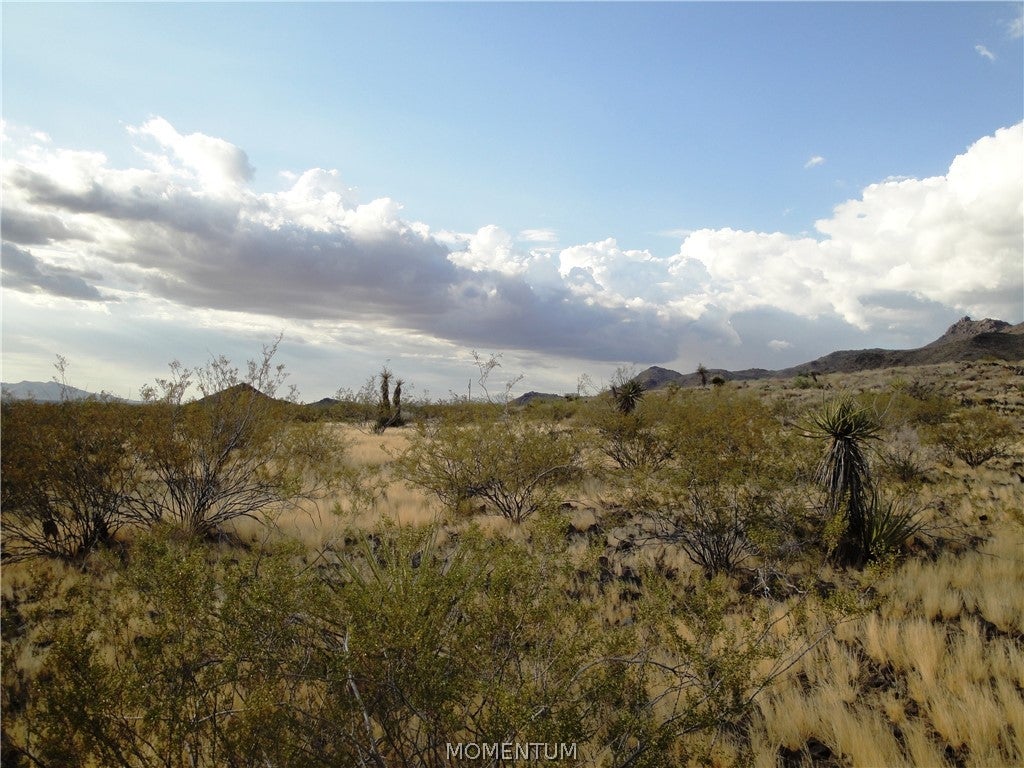 417 Klagetoh Road Golden Valley, AZ 86413 - Photo 7 of 14 Gallery Image 7