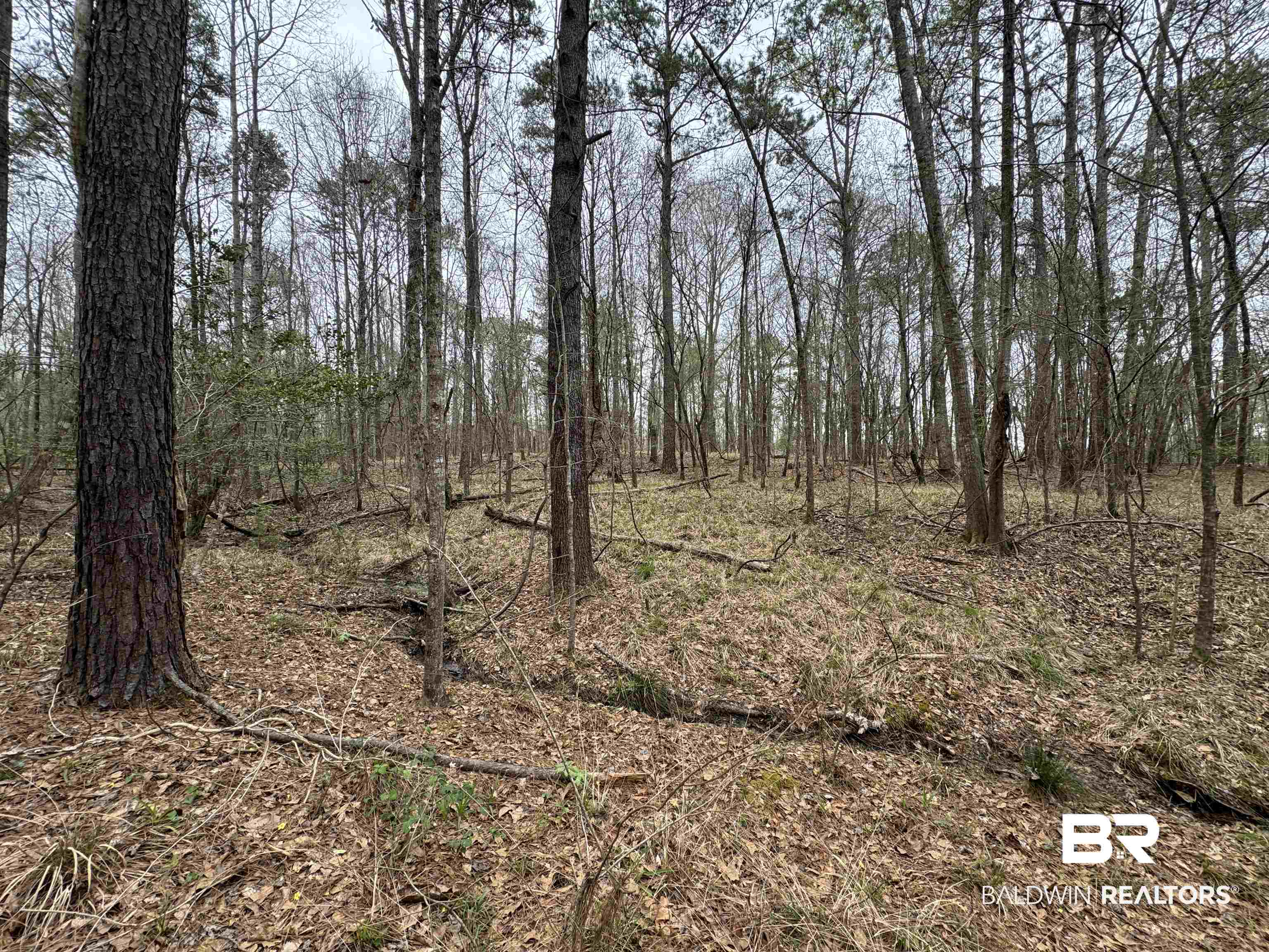 0 Cement Plant Road Jackson, AL 36545 - Photo 13 of 22