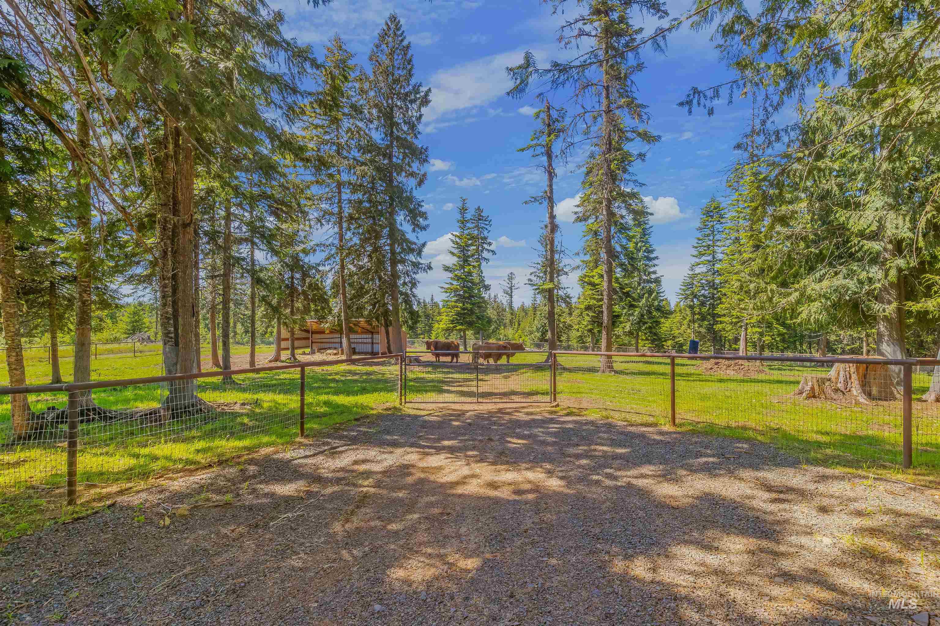 1442 Band Mill Road Orofino, ID 83544 - Photo 2 of 49