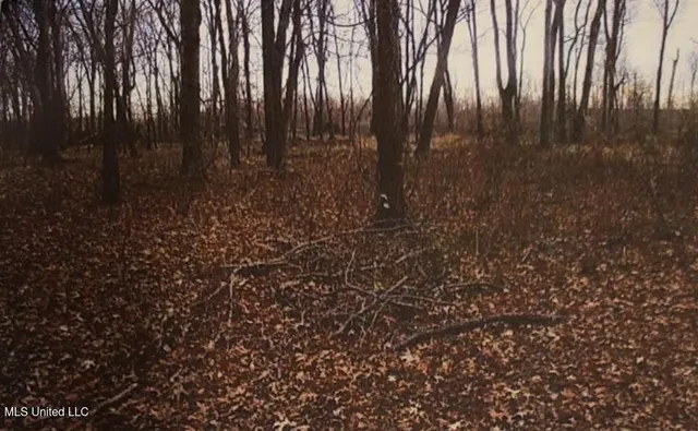 $8,000 | Lot 70 Gravel) Blue Gill Road, Vicksburg, MS 39183