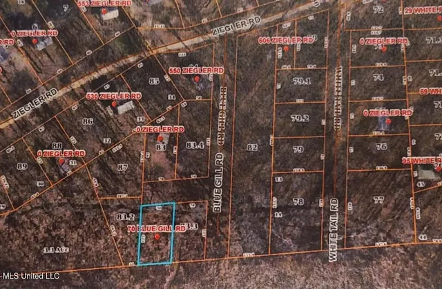 $8,000 | Lot 70 Gravel) Blue Gill Road, Vicksburg, MS 39183