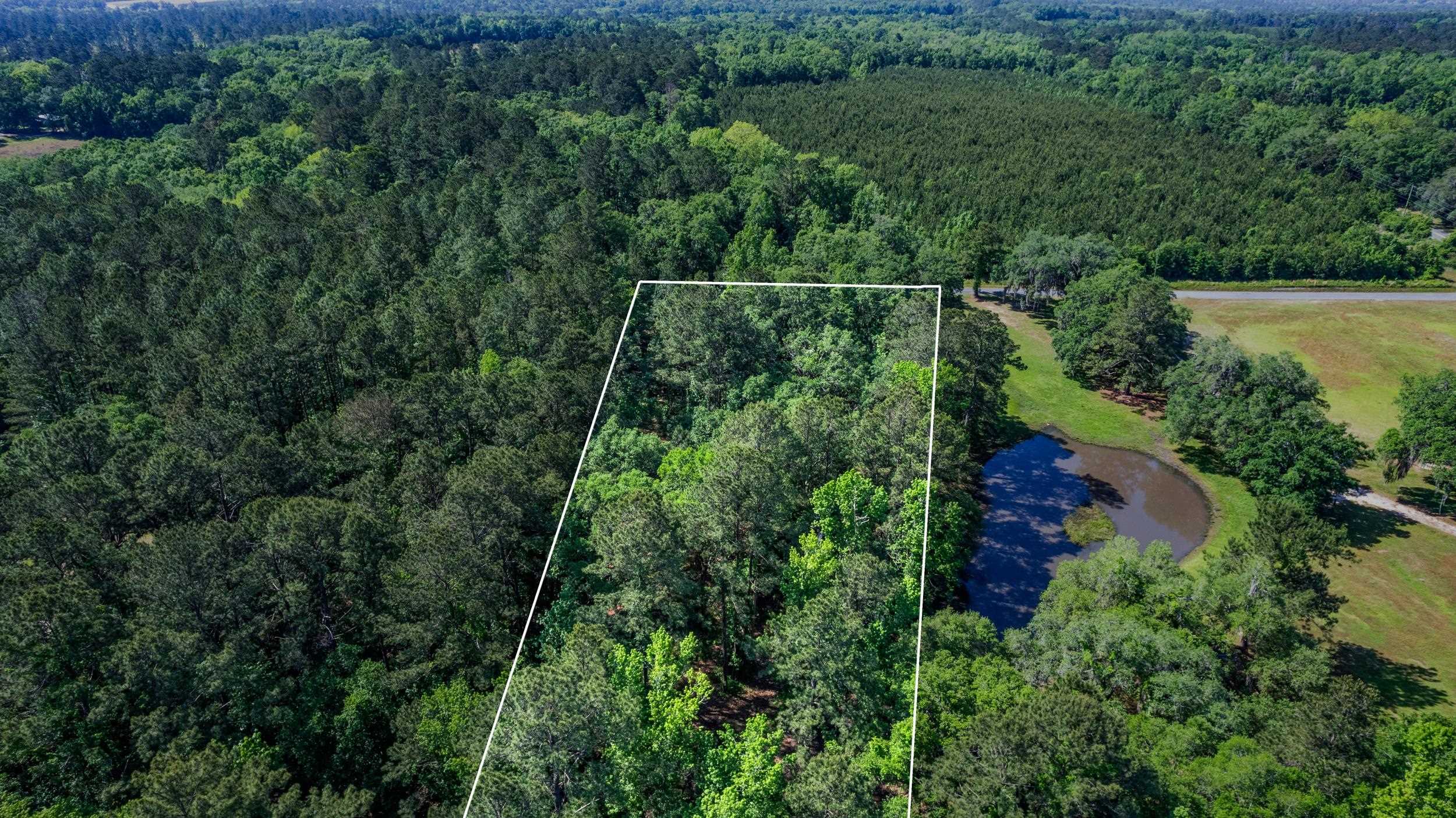 14008 Godbold Road Tallahassee, FL 32309 - Photo 9 of 22