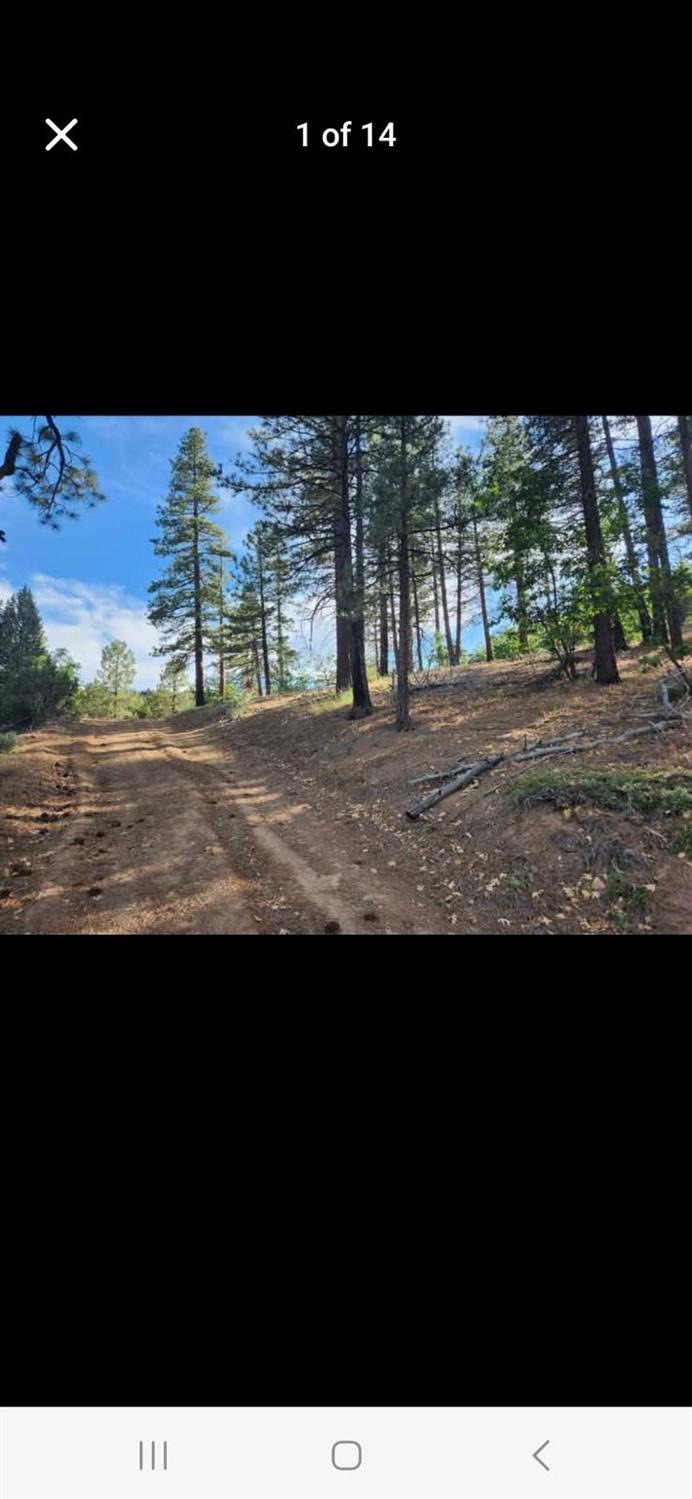 0 Cheney Creek Road Susanville, CA 96130 - Photo 10 of 18 a view of an ocean view