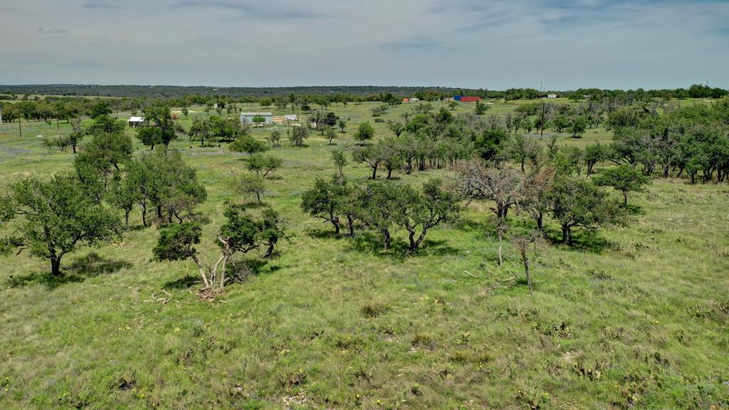 1443 Gina Road Harper, TX 78631 - Photo 17 of 49 a view of a green field with lots of bushes