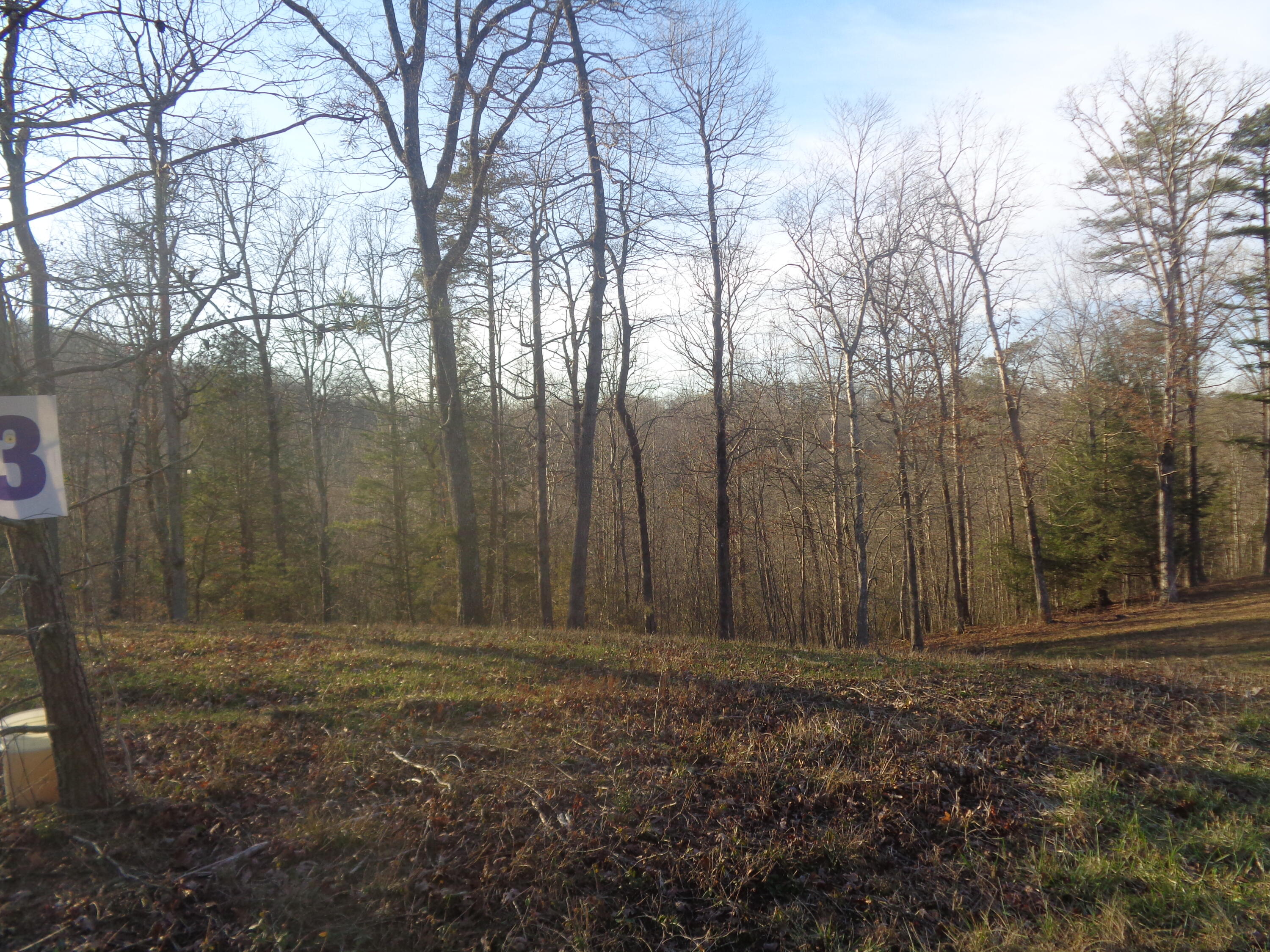Lot 3 Fount Hubbard Road London, KY 40741 - Photo 6 of 25 DSC07471