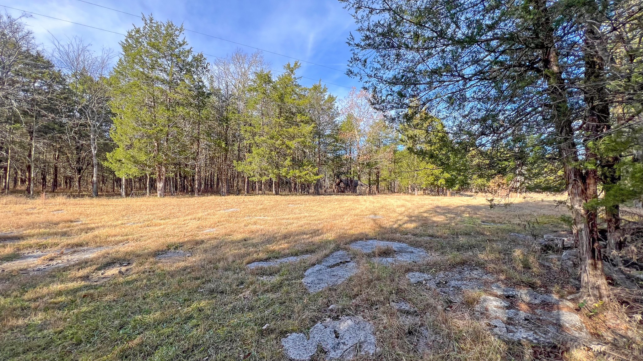 1885 Luther Sharp Road Columbia, TN 38401 - Photo 12 of 24 a view of outdoor space and yard