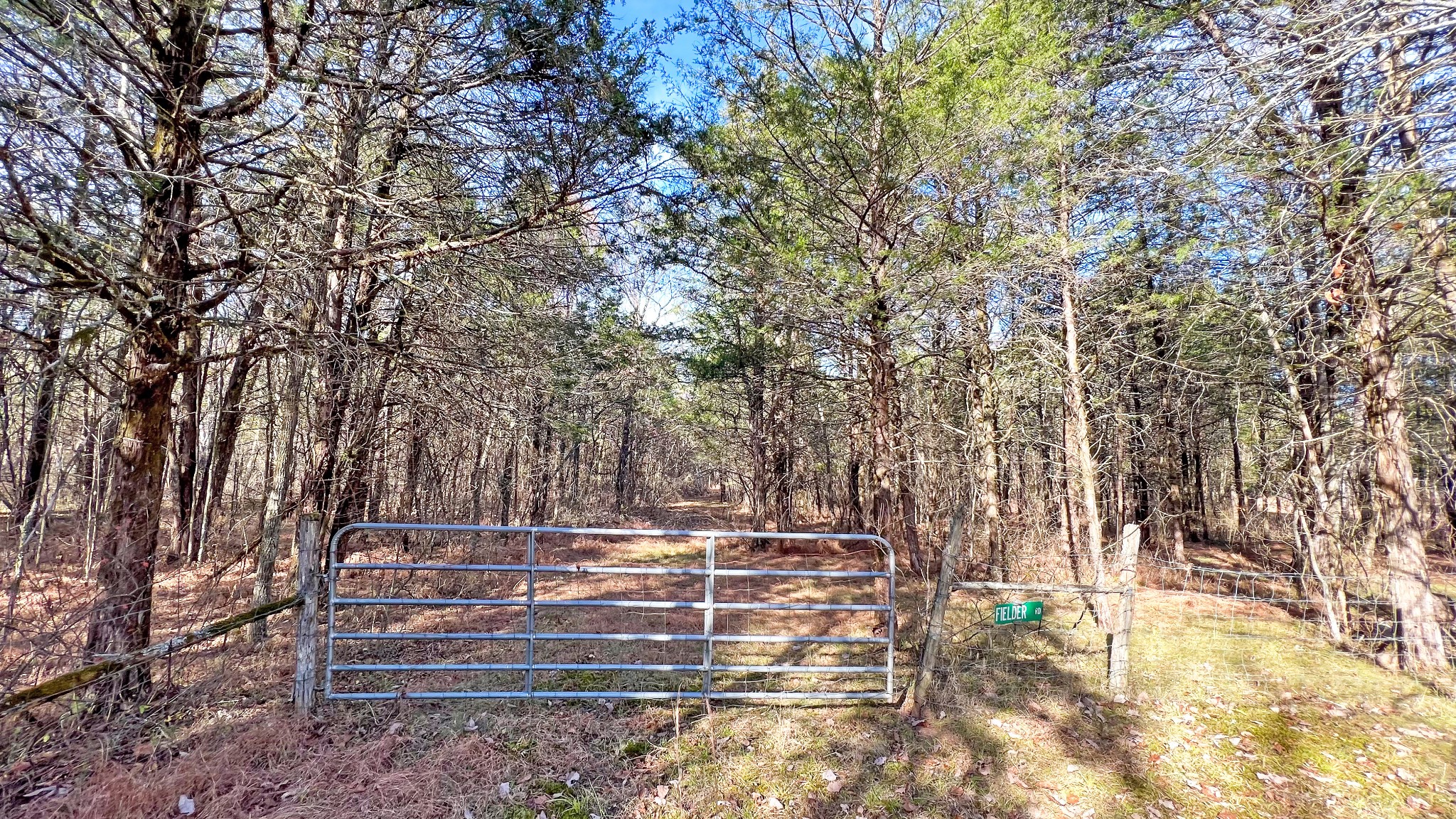 1885 Luther Sharp Road Columbia, TN 38401 - Photo 6 of 24 a view of backyard with trees