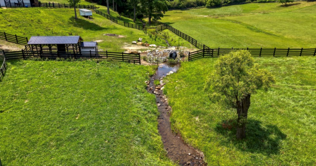 771 Burgess Gap Road Morganton, GA 30560 - Photo 40 of 43 Gallery Image 40