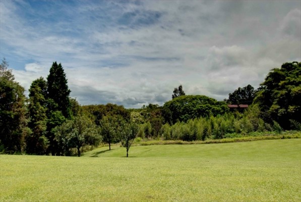 2110 Kaiwiki Road, Unit 2 Hilo, HI 96720 - Photo 23 of 25 Gallery Image 23