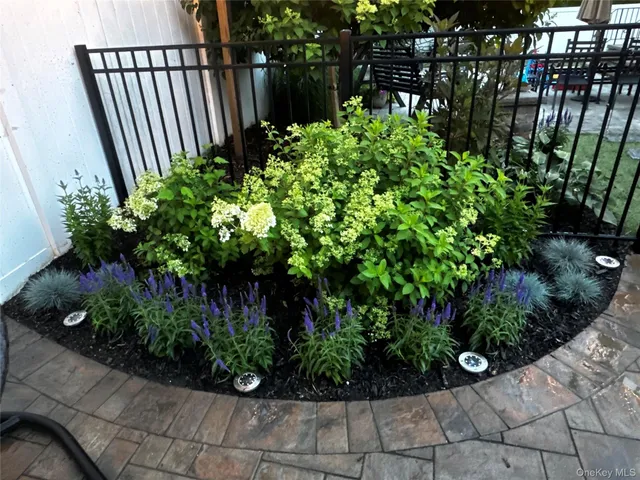 a view of a garden with plants
