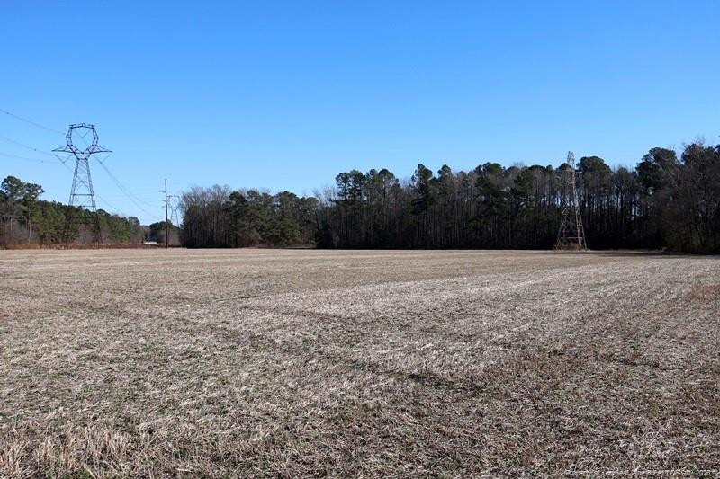 Tbd South Old Wire Road Maxton, NC 28364 - Photo 15 of 38 Photo 15