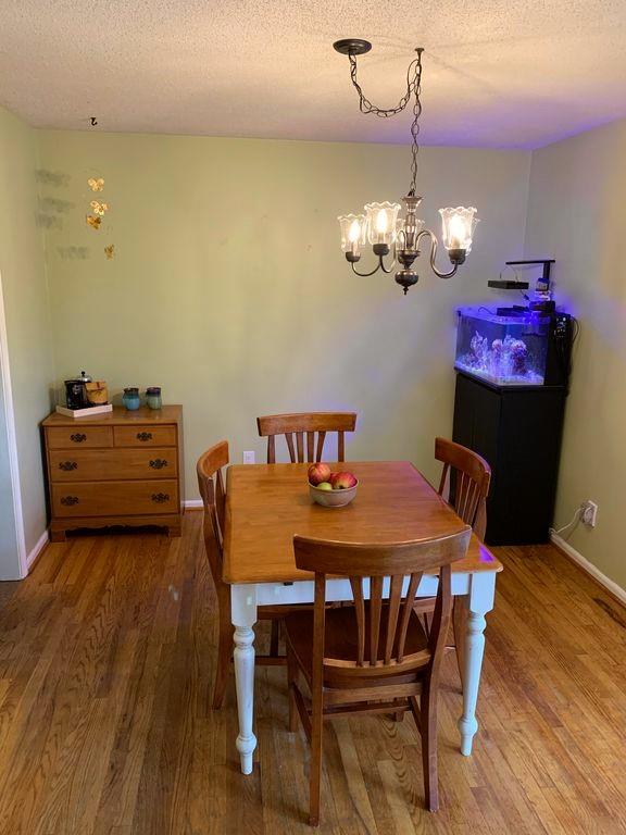 31 Cedar Road Hickory, NC 28601 - Photo 5 of 22 Gallery Image 5
