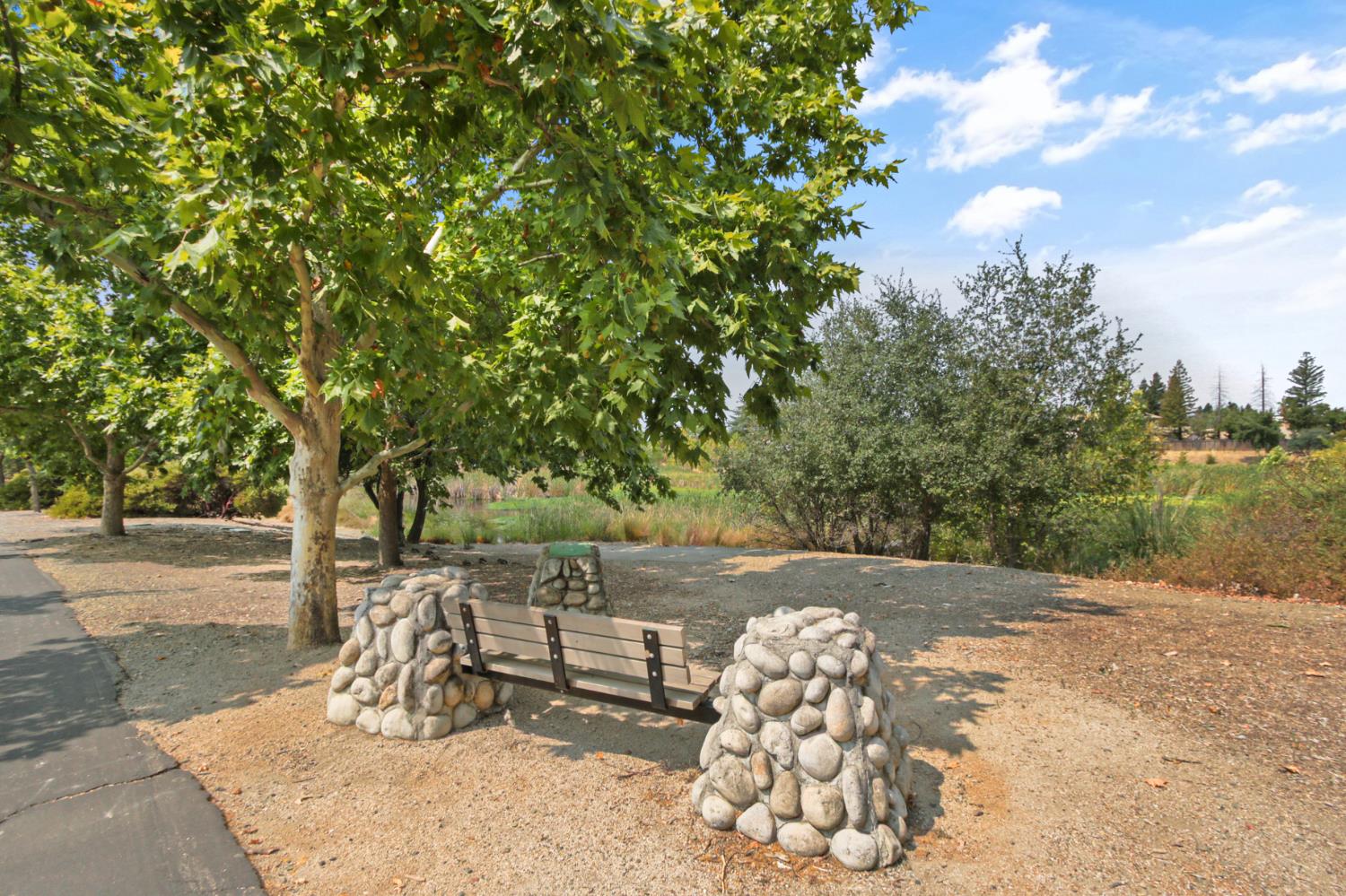 336 Rundgren Way Folsom, CA 95630 - Photo 43 of 52 Gallery Image 43