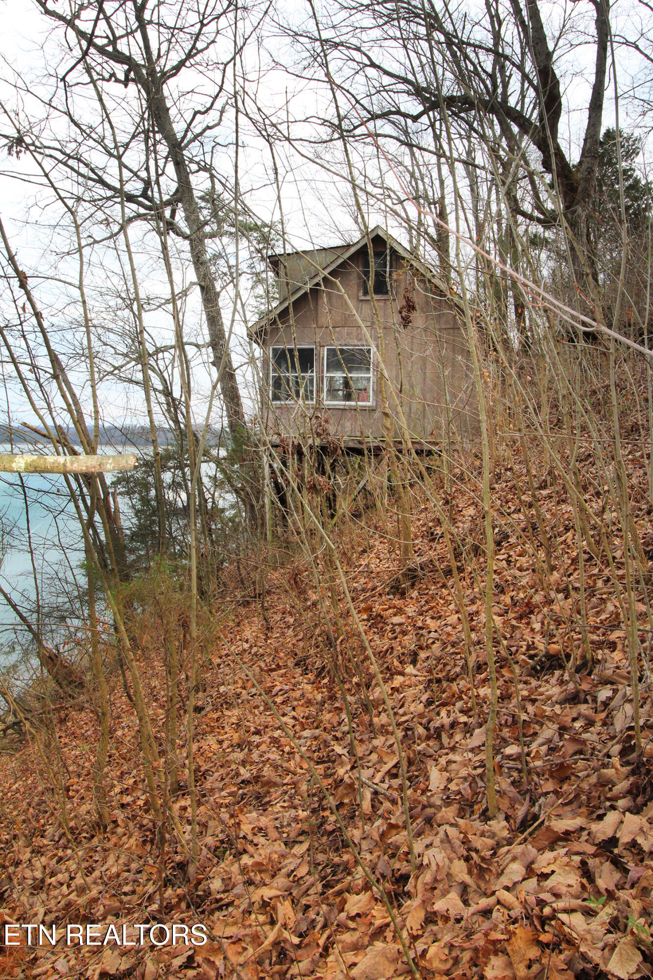 211 Sequoyah Trail Rutledge, TN 37861 - Photo 24 of 58 IMG_0038