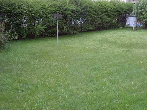 404 3rd Street Butler, PA 16001 - Photo 2 of 8 Yard/Garden.