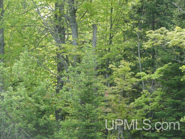 Tbd Budreau Road Baraga, MI 49908 - Photo 10 of 12 Gallery Image 10
