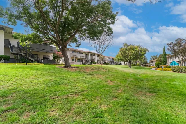 a view of a house with a big yard and large trees