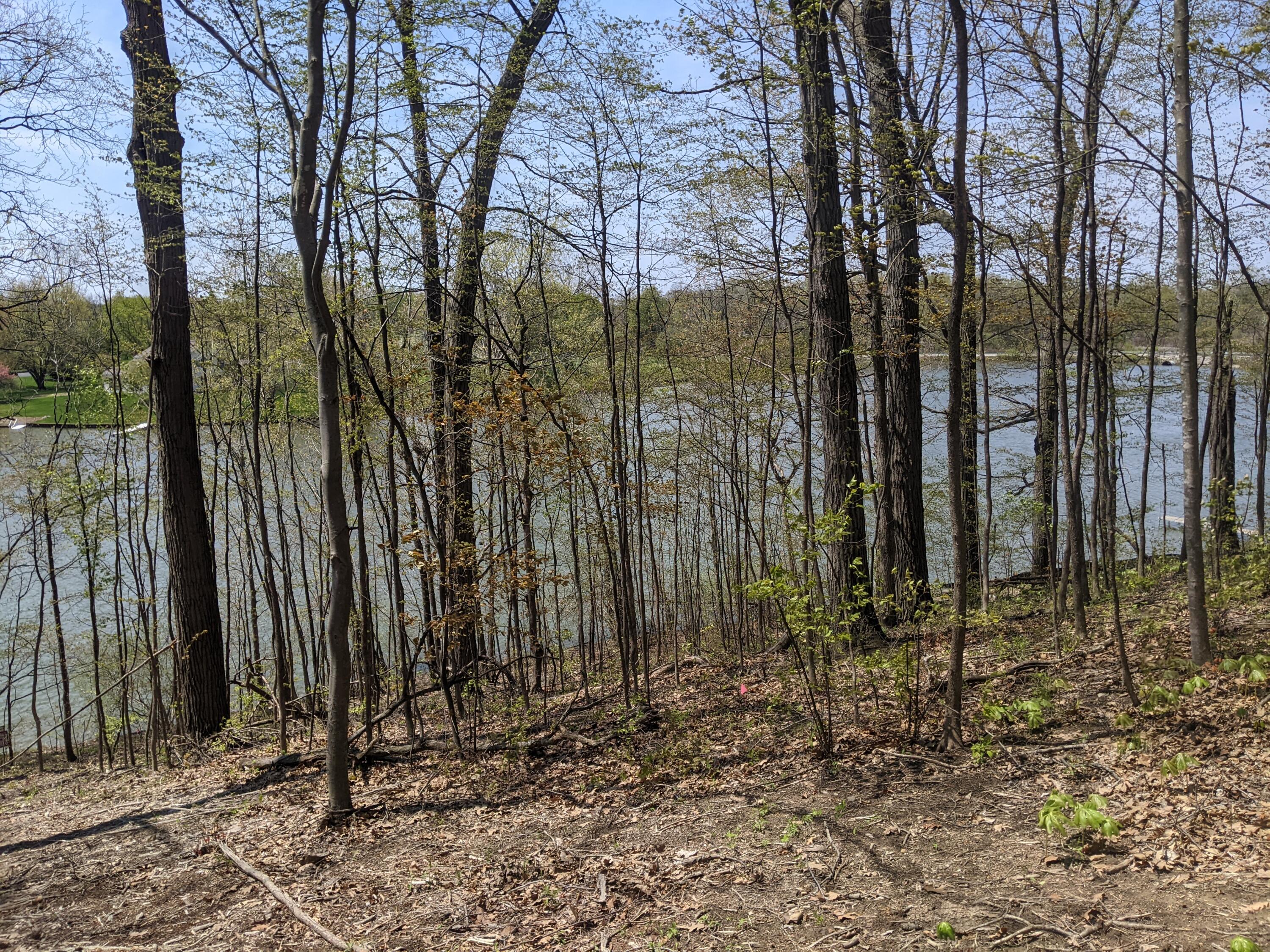 PXL_20230505_175028387 (1)
