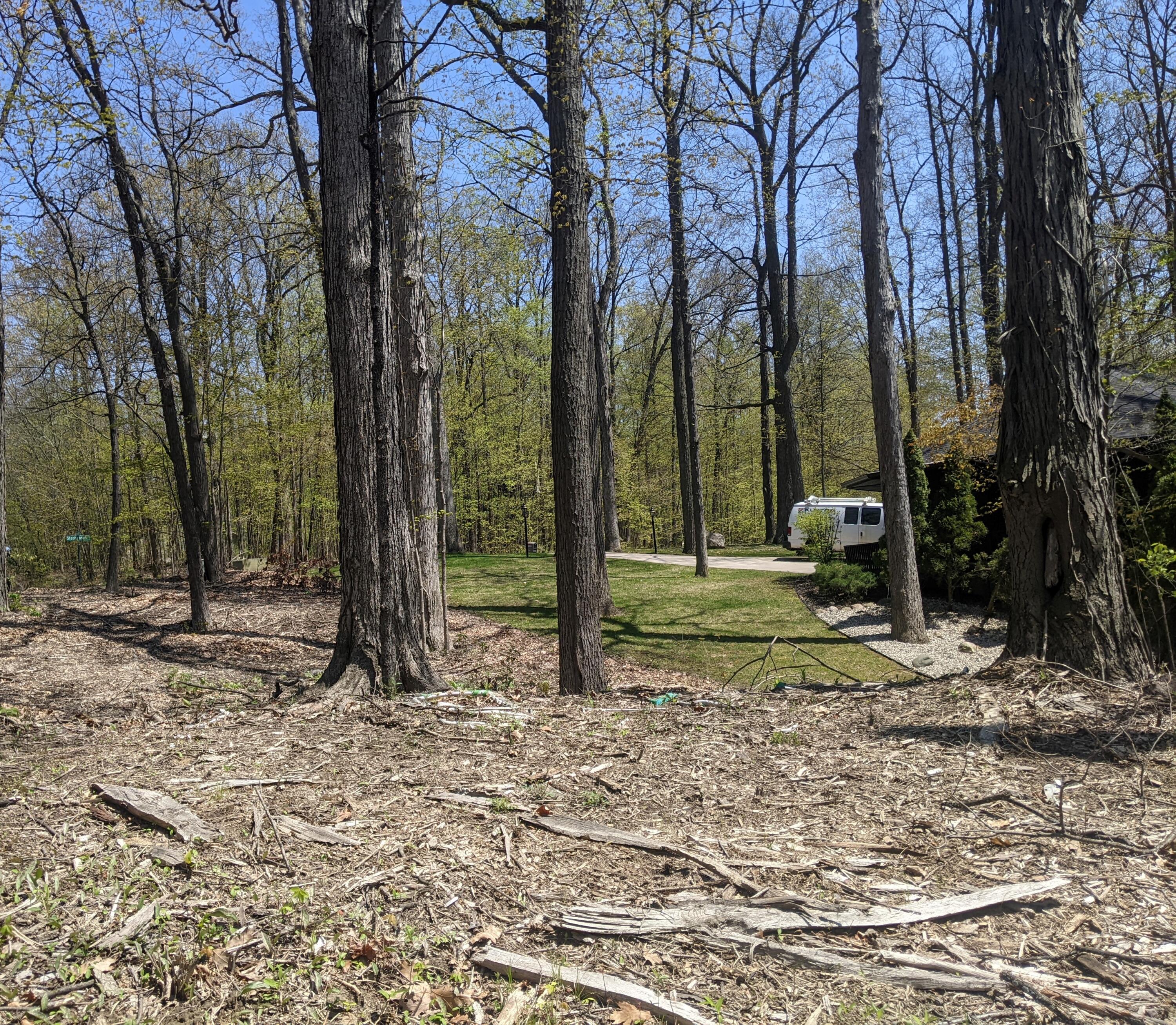 PXL_20230505_175033598 (5)