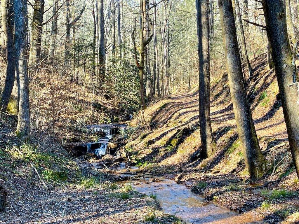 18 Corinth Church Road Cleveland, GA 30528 - Photo 22 of 37 a view of a yard with plants and trees