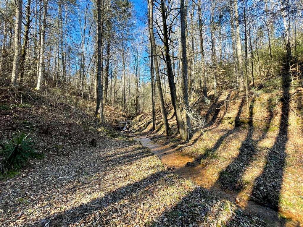 18 Corinth Church Road Cleveland, GA 30528 - Photo 23 of 37 a view of a yard with trees