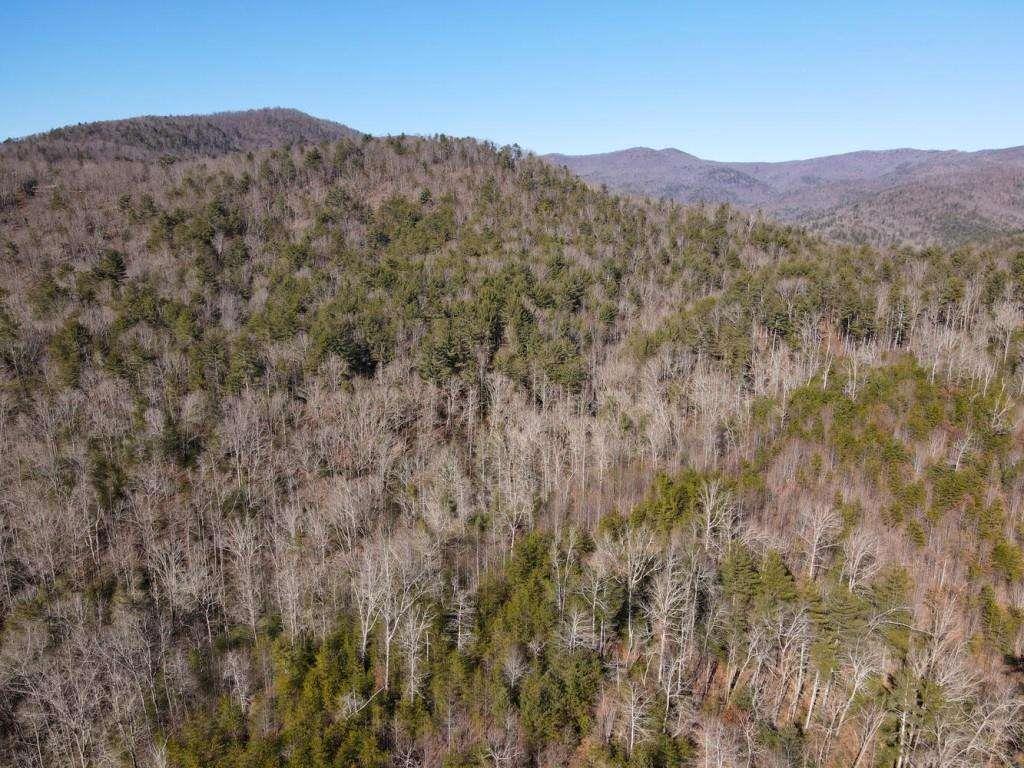 18 Corinth Church Road Cleveland, GA 30528 - Photo 34 of 37 a view of a mountain in the distance in a field
