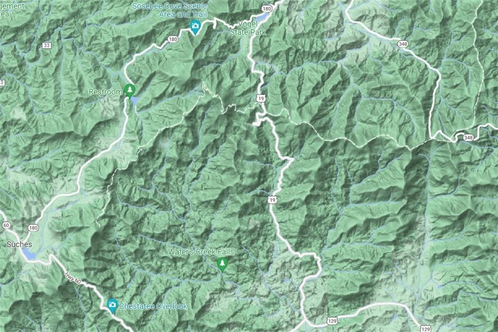 18 Corinth Church Road Cleveland, GA 30528 - Photo 37 of 37 a close up of a plant in a garden