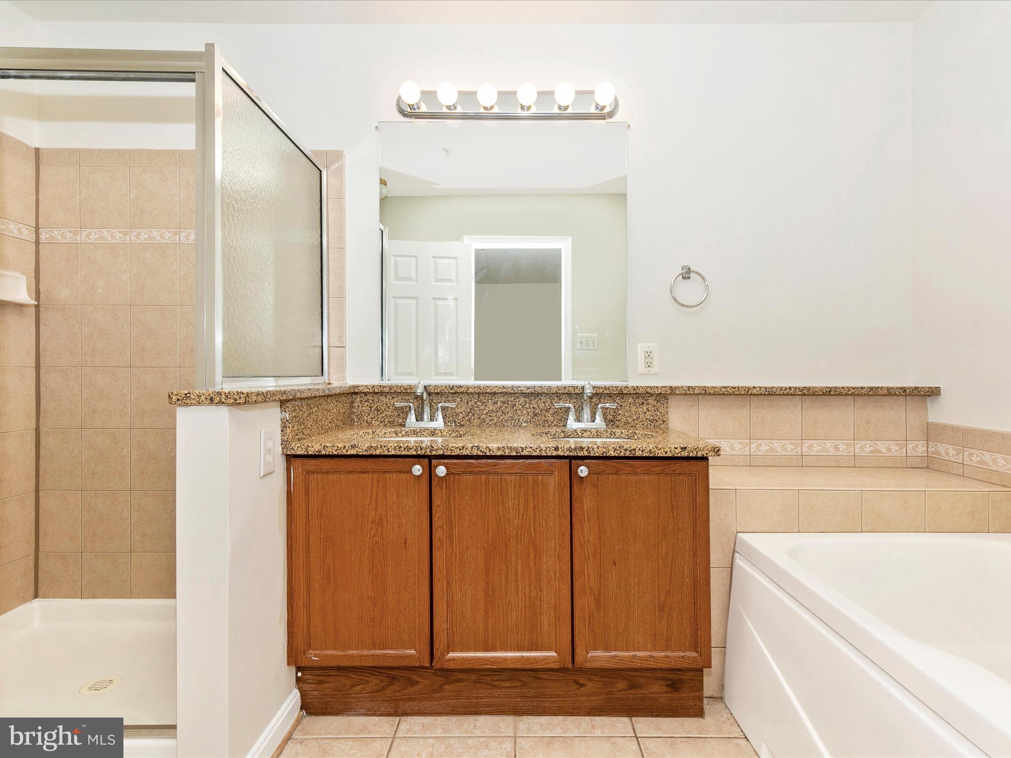 2534 Emerson Drive Frederick, MD 21702 - Photo 33 of 55 a bathroom with a tub a sink and a mirror