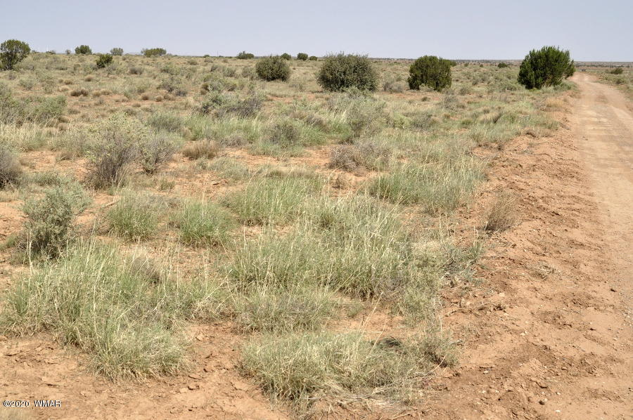68 D Pilgrims Road Snowflake, AZ 85937 - Photo 5 of 11 a view of a dry yard