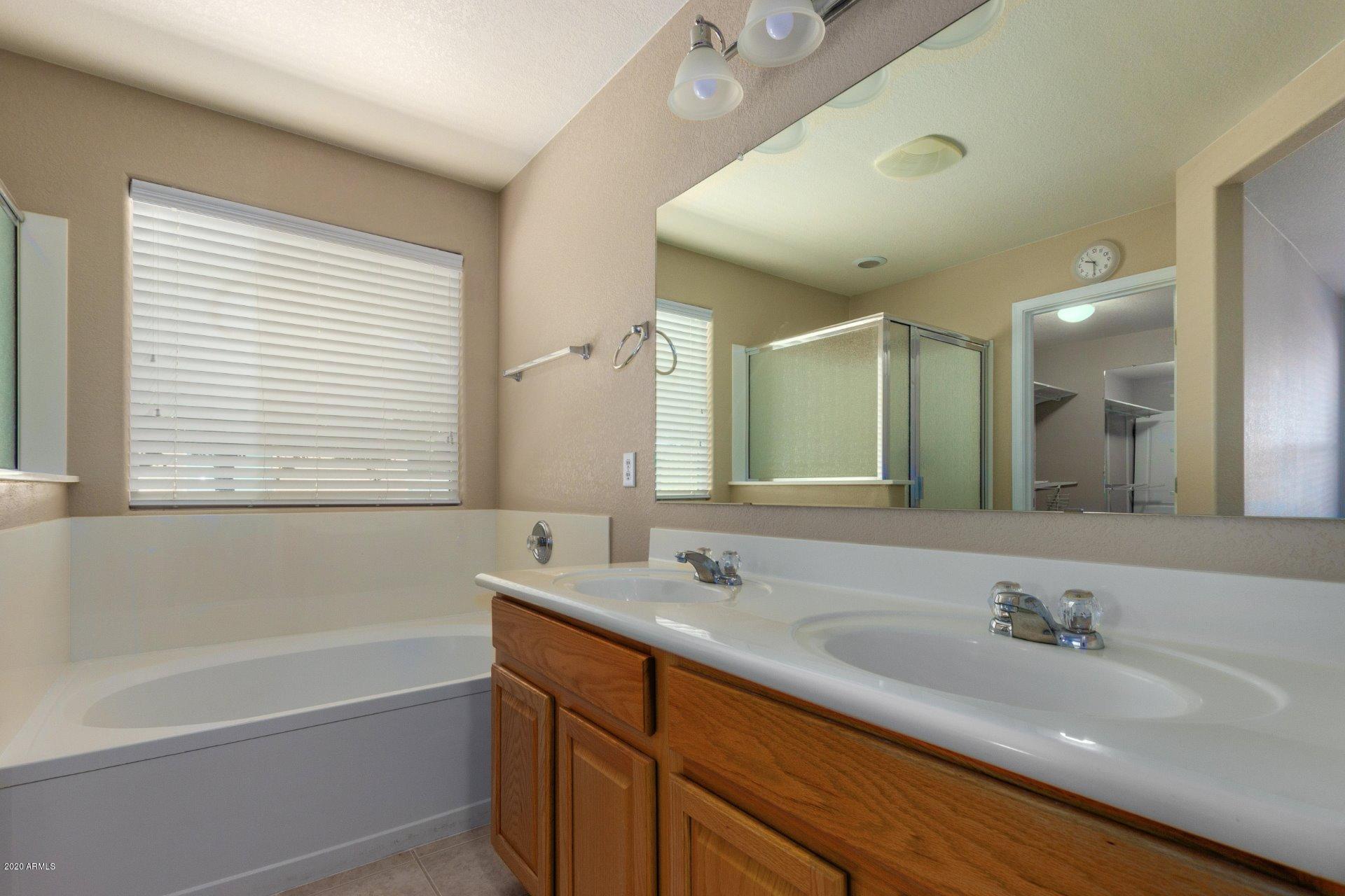 17650 West Red Bird Road Surprise, AZ 85387 - Photo 12 of 30 Master Bathroom