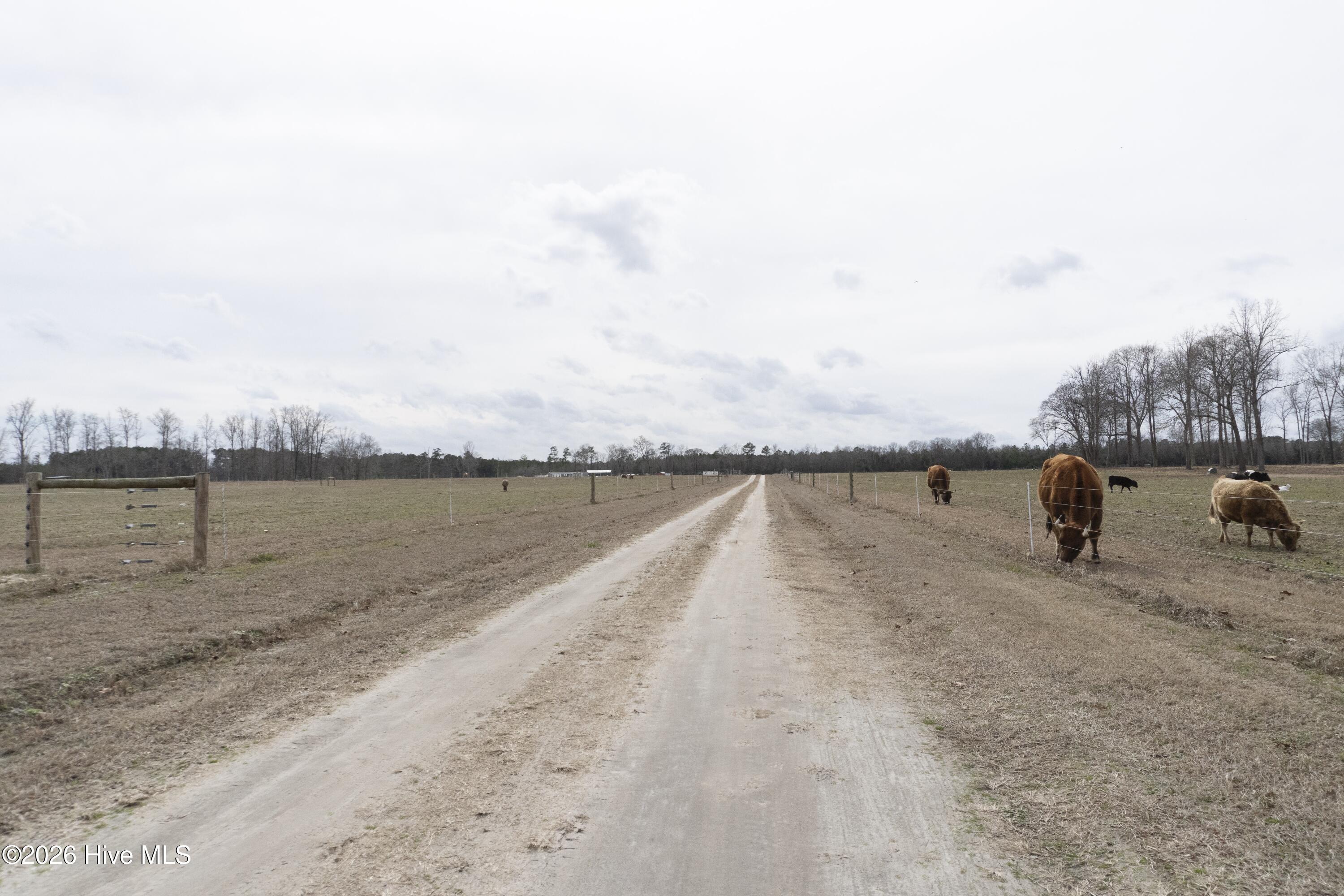 5093 Owen Hill Road Elizabethtown, NC 28337 - Photo 54 of 58 DSC00941