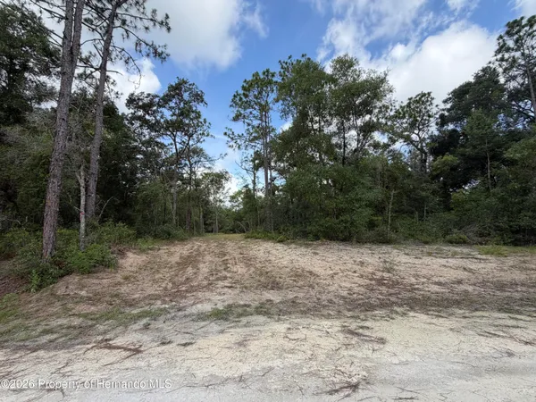 $53,000 | 0 Idlewood Drive, Webster, FL 33597