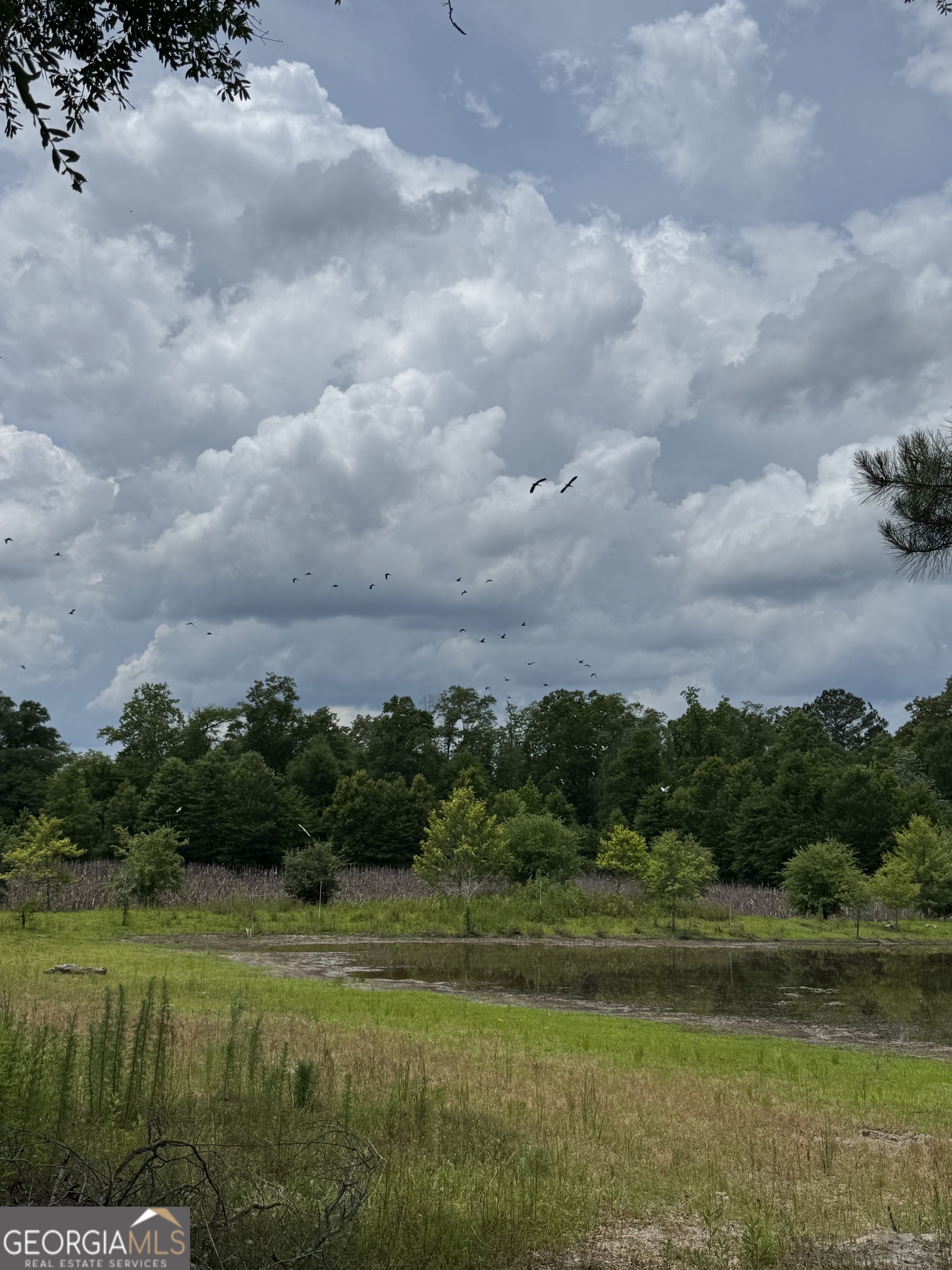 0 Rocky Mt Church Road Eufaula, AL 36027 - Photo 19 of 35
