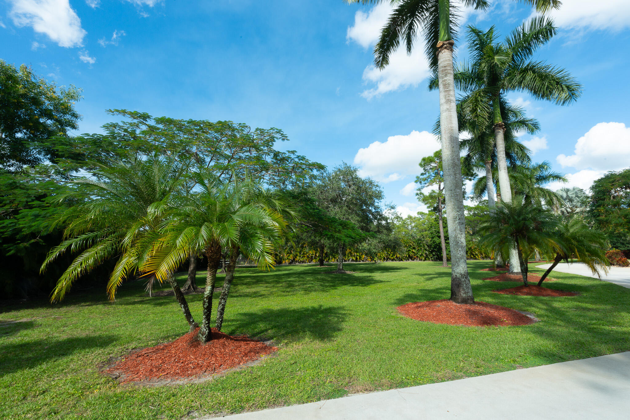 3516 185th Trail Loxahatchee, FL 33470 - Photo 37 of 56 a green field with lots of palm trees