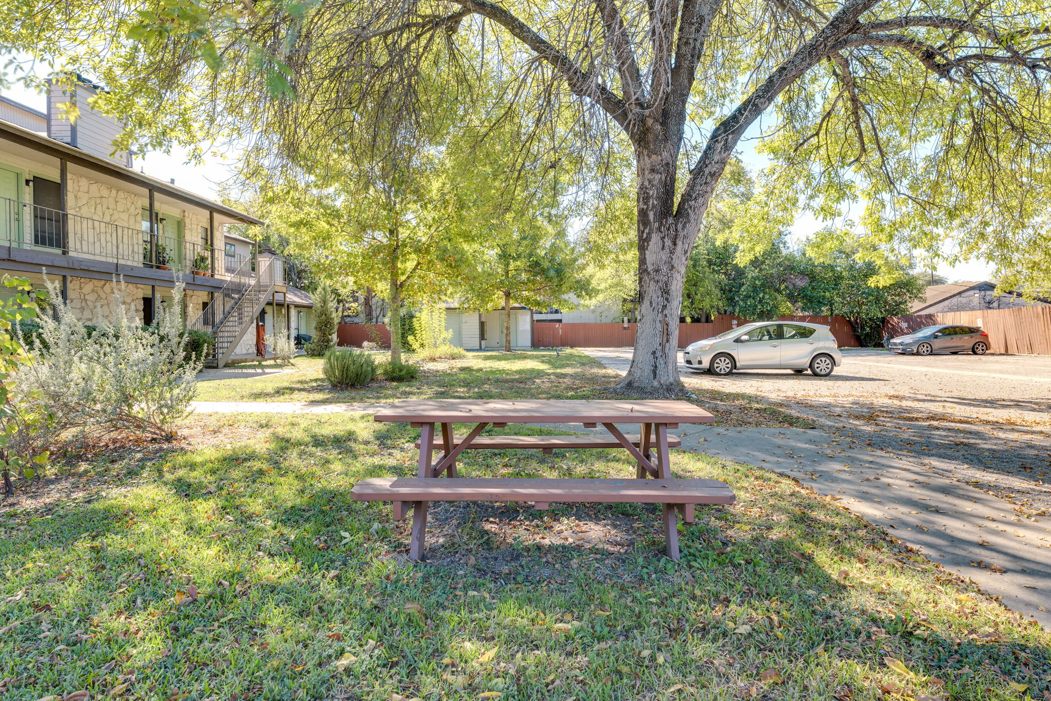 4307 South 1st Street, Unit 101 Austin, TX 78745 - Photo 33 of 33 a view of yard with tree