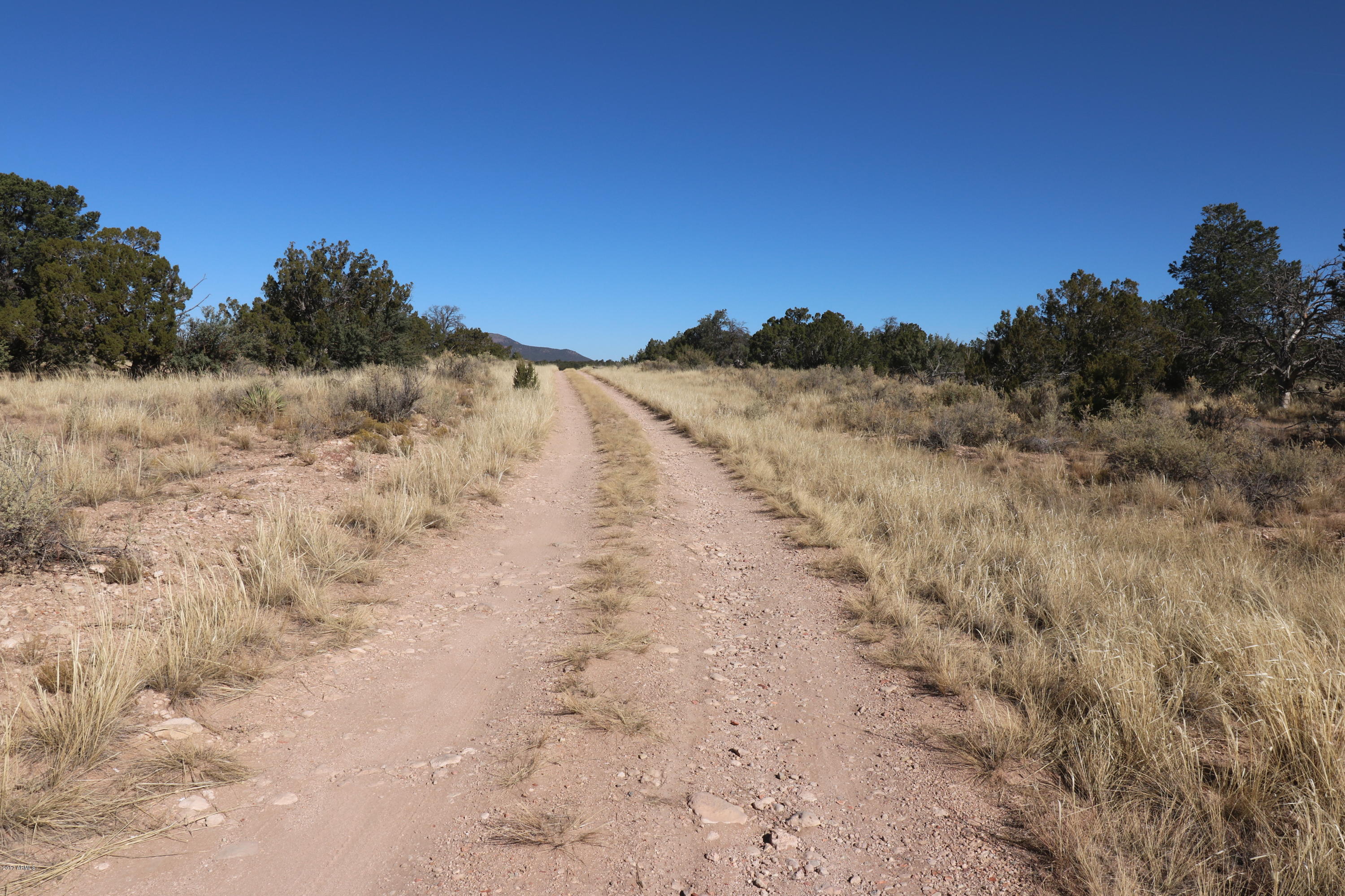 3127 East Woodland Ranch Road, Unit 85 Williams, AZ 86046 - Photo 12 of 15 14 N Via de la paloma