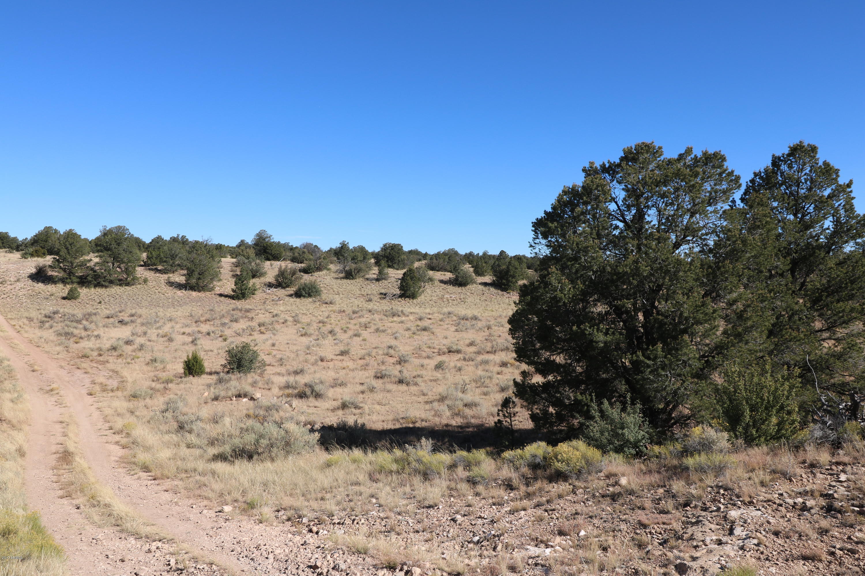 3127 East Woodland Ranch Road, Unit 85 Williams, AZ 86046 - Photo 14 of 15 16 wash .3 mi from woodland