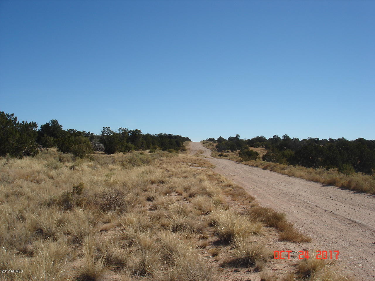 3127 East Woodland Ranch Road, Unit 85 Williams, AZ 86046 - Photo 4 of 15 4 E woodland ranch date