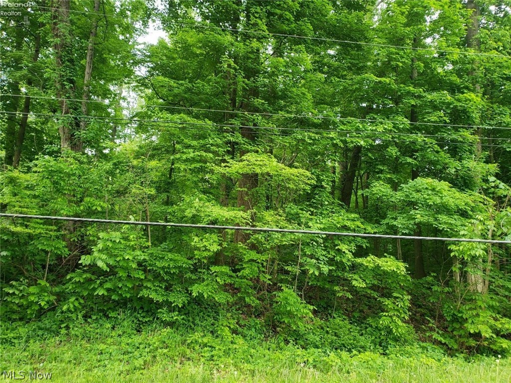 Washington Road Norwalk, OH 44857 - Photo 1 of 1 Gallery Image 1