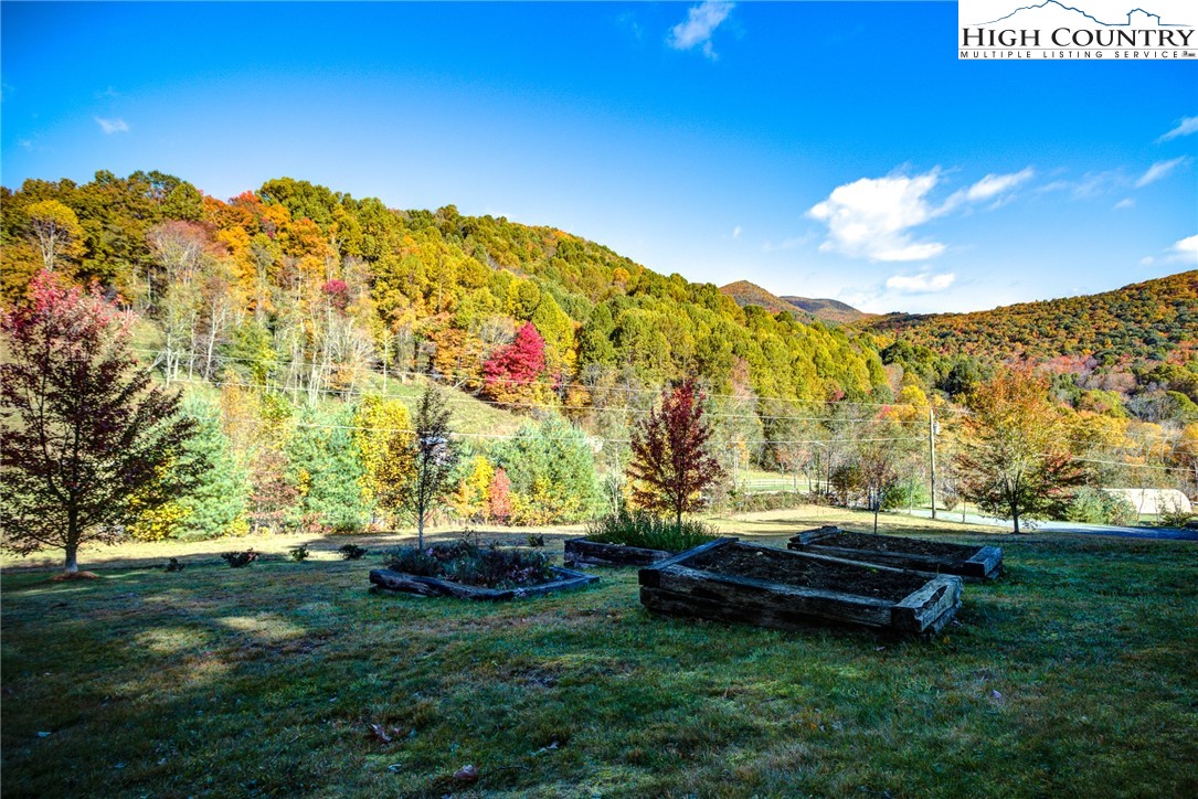 1267 Hopewell Church Road Boone, NC 28607 - Photo 11 of 50 a backyard of a house with lots of green space and outdoor seating