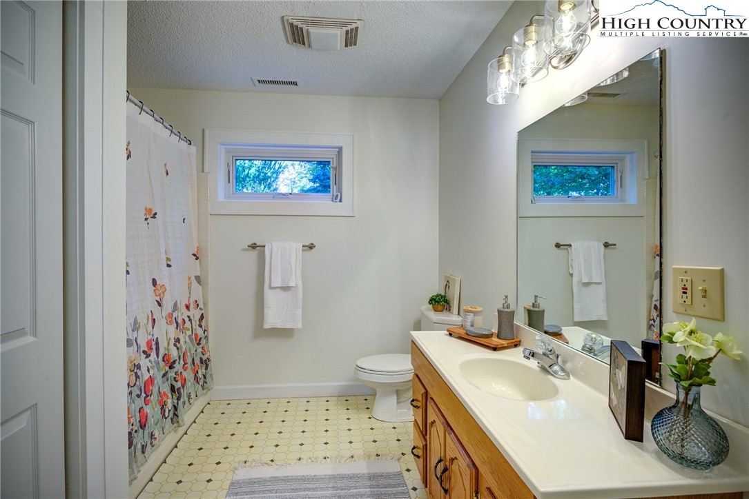 1267 Hopewell Church Road Boone, NC 28607 - Photo 32 of 50 a bathroom with a sink a toilet and shower