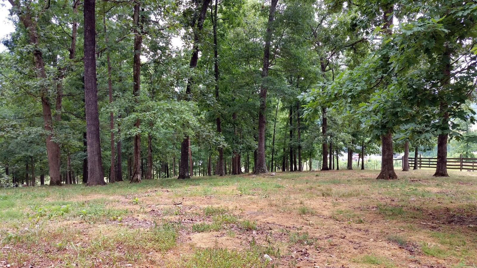 354 Old Federal Road Madisonville, TN 37354 - Photo 22 of 40 22-20160602_135729