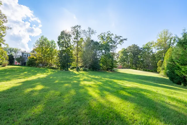 a view of a grassy field with trees in the background