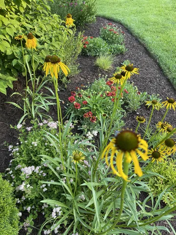 $650,000 | 100 Point Circle, Tullahoma, TN 37388