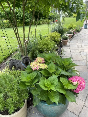 $650,000 | 100 Point Circle, Tullahoma, TN 37388